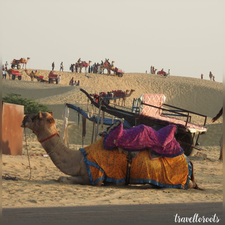 Camel Ride, Sam, Jaisalmer